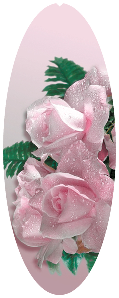 DNSA18-063 Bouquet Of Roses Orchid